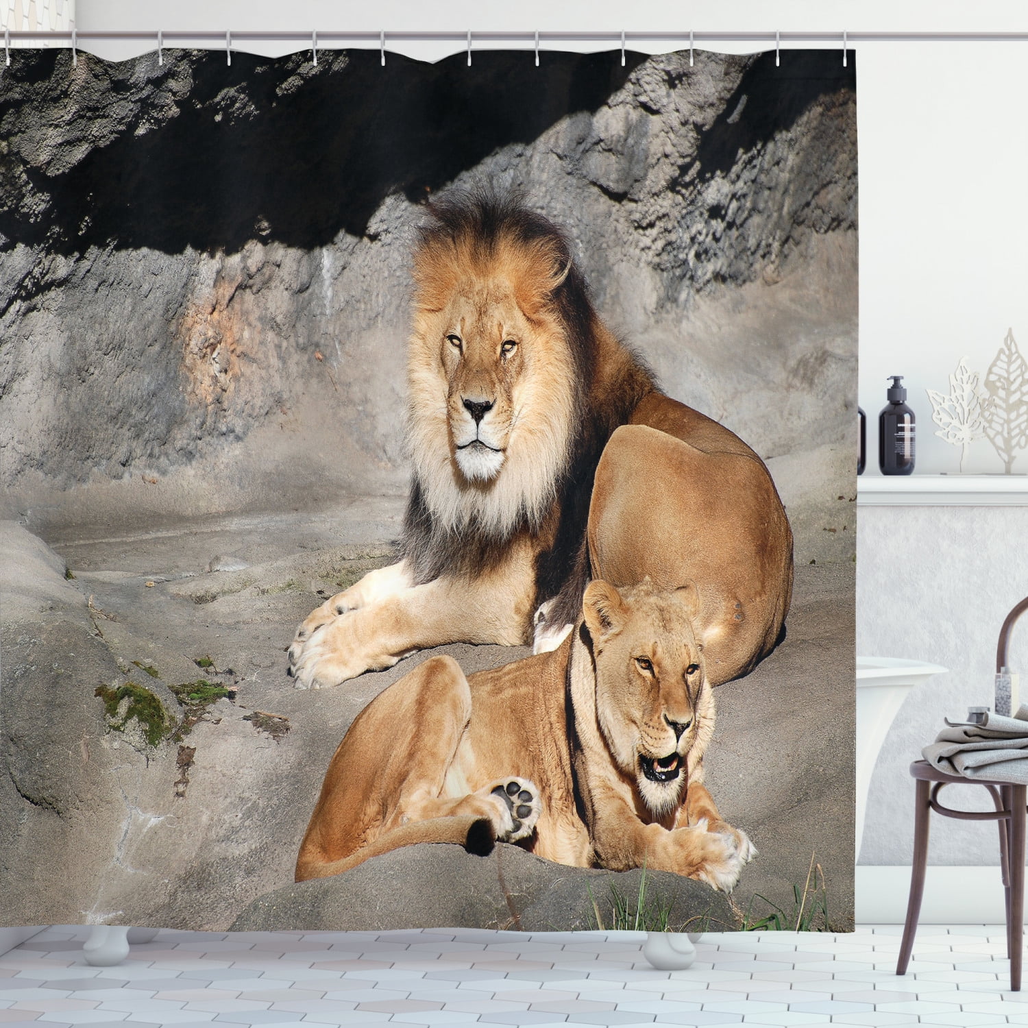 Ambesonne Zoo Shower Curtain, Lions Basking in Sun Jungle, 69"Wx70"L