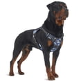 thumbnail image 1 of Arnés de adiestramiento para perros AUROTH Tactical sin tirones, reflectante, azul, 1 of 7