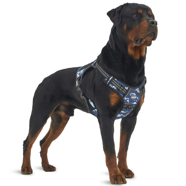 Arnés de adiestramiento para perros AUROTH Tactical sin tirones, reflectante, azul