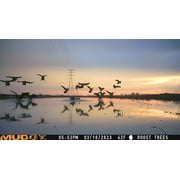 Muddy Matrix Dual Network Cellular Trail/Game Camera, 36MP