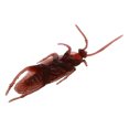 thumbnail image 4 of 10 Faux Cafards Blague Nouveauté Cafards Bugs Look Réel, 4 of 4