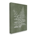 thumbnail image 4 of Stupell Industries Green Rustic Ferns Botanical & Floral Painting Gallery Wrapped Canvas Art Print Wall Art, 16 x 20, 4 of 8