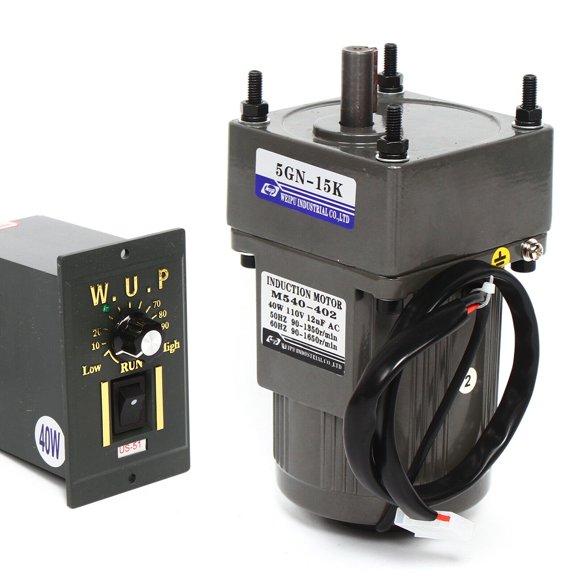 Variable Speed Motor