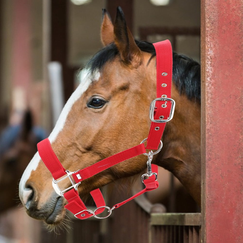 Bride Harnais De Conduite Cheval, Cuir Noir, Qualité Premium, Taille Unique, Neuve