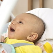 Bright Starts Whimsical Wild Portable Compact Baby Swing with Taggies، Unisex، Newborn and up