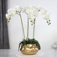 thumbnail image 4 of 2 piezas de maceta de metal de hierro, elegante y resistente. Oro Pequeño Argenta Pequeño, 4 of 9
