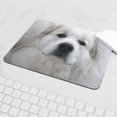 thumbnail image 5 of CafePress - Great Pyr Mousepad - Non-slip Rubber Mousepad, Gaming Mouse Pad, 5 of 6