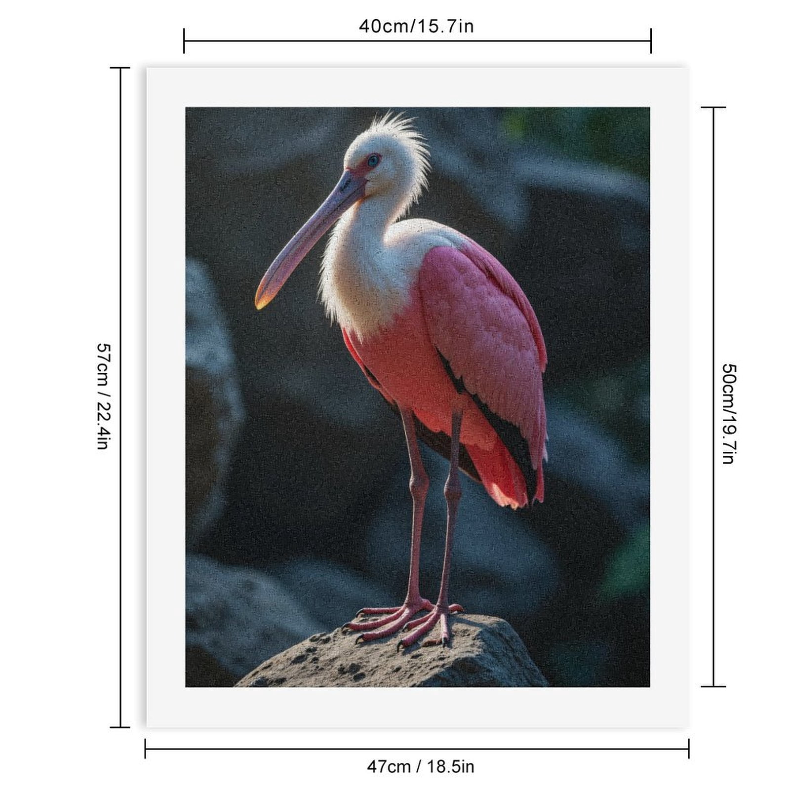 Paint By Numbers Kit for Adults Beginner - Feathered Elegance On Rocks DIY Canvas Painting Kits for Adults, Frameless Paint By Number for Adults for Home Wall Decor 16x20 Inch