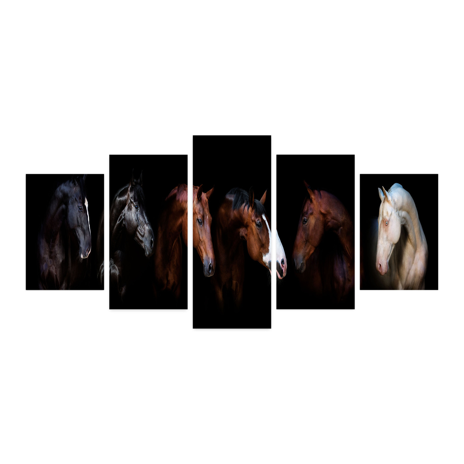 Animal 5 Panels Acrylic Glass Wall Art, Horse Portraits on Dark
