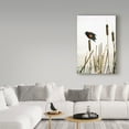 thumbnail image 3 of Trademark Fine Art 'Early Arrival Red Winged Blackbird' Canvas Art by Ron Parker, 3 of 3