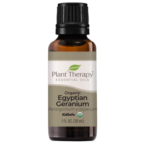 Plant Therapy Organic Egyptian Geranium Essential Oil 100% Pure, USDA Certified Organic, Undiluted, Natural Aromatherapy, Therapeutic Grade 10 mL (1/3 oz)