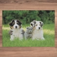 thumbnail image 3 of Ambesonne Dog Jigsaw Puzzle, Puppy Family in Garden, Heirloom-Quality Fun Activity for Family Durable Cardboard, 1000 pcs, Cream Grey Fern Green, 3 of 5