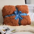 thumbnail image 4 of GentleSoft Fuzzy Sherpa Faux Fur Twin Blanket Burnt Orange Cozy Gifts for Women Men, Soft Fleece Plush Warm Thick Blanket Twin Size for Bed, Room Dorm Essentials Orange Decor Gifts, 60x80, 4 of 8