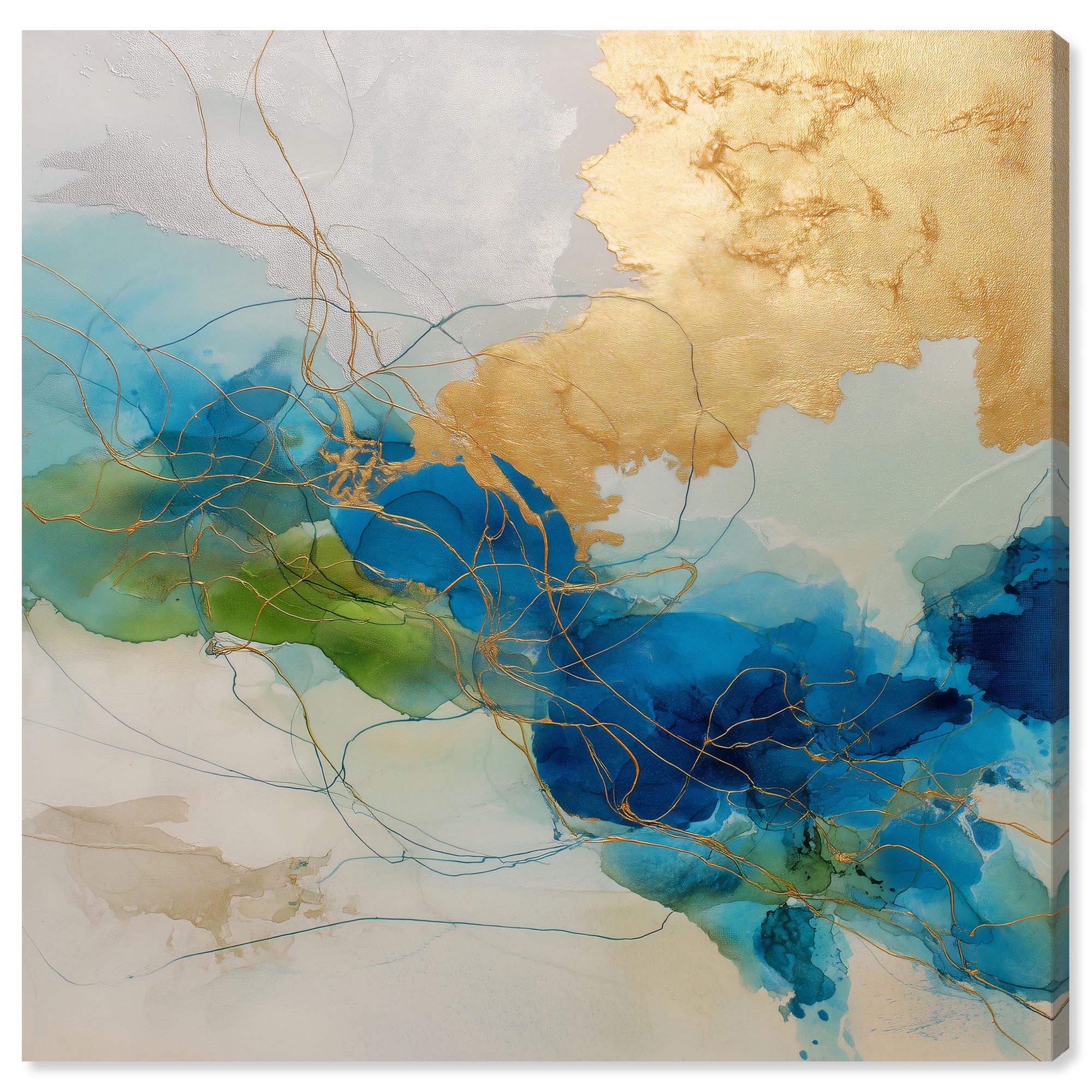 Alconia I Canvas Abstract Wall Art by Art Remedy Gallery Wrapped 40 x 40