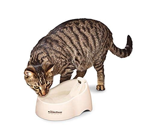 Petmate Deluxe Fresh Flow Cat and Dog Fountain, Bleached Linen, 50 Oz