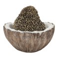 thumbnail image 4 of COCONUT HEDGEHOG, 4 of 4