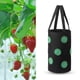 thumbnail image 4 of Bolsas de cultivo de fieltro Bolsillos de exhibición Bolsa de planta de fresa colgante DIY (Negro) Ehuebsd Libre de BPA, 4 of 6