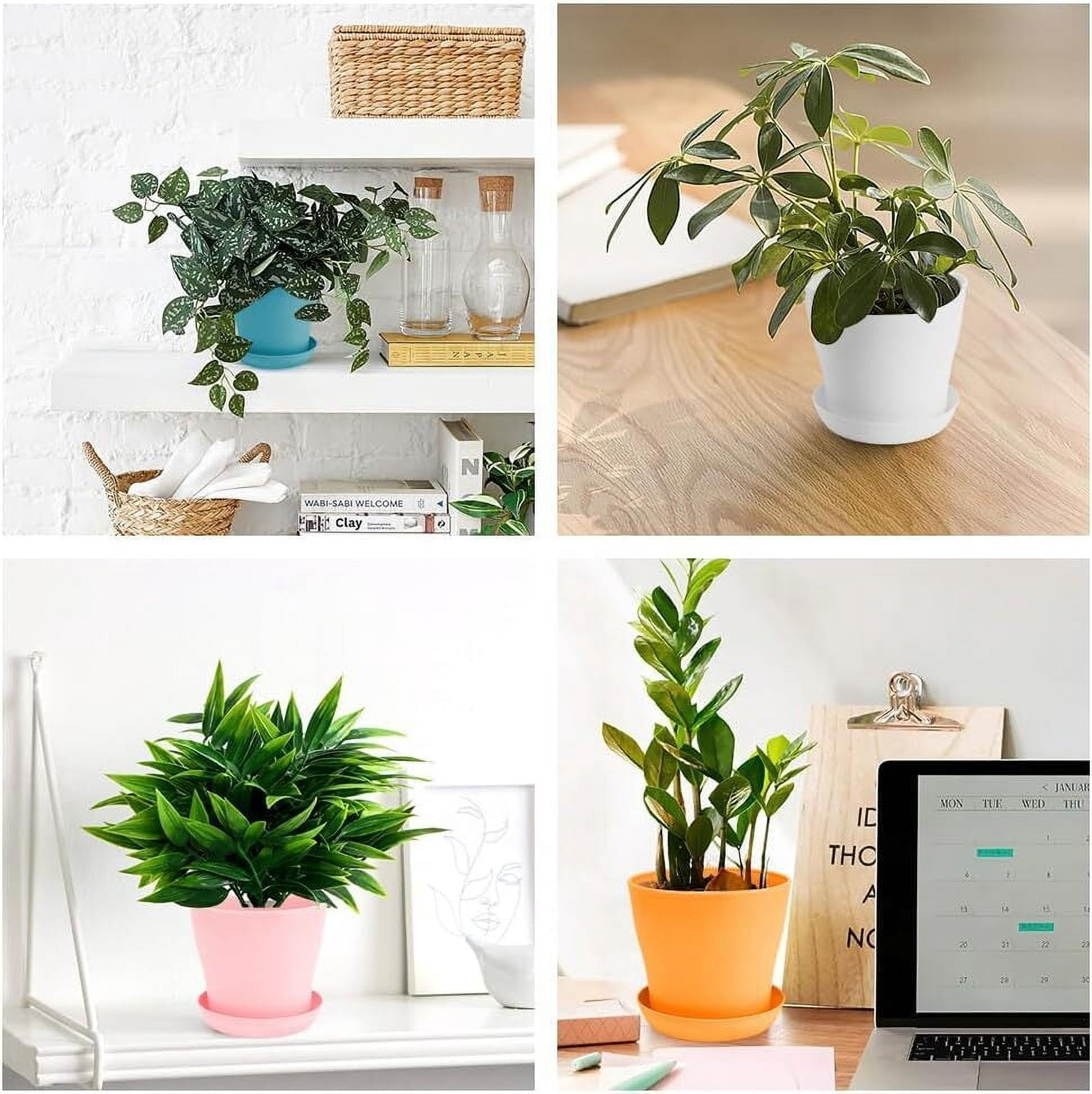 16 Pack Plant Pots Indoor Outdoor, 3.8" Plant Flower Pots with Drainage Holes and Saucers,Flower Planter Pots for Indoor House Plants,Colorful Plastic Small Pots for Plants Succulent Nursery Pots