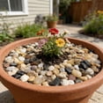 thumbnail image 3 of Succulent Rocks, 6-9mm Colorful Polished Pebbles for Indoor Plants, 350g Decorative River Rocks for Plants Indoor, Vase Fillers, Cactus Planters, Bird Bath, Fountain, Outdoor Garden Landscaping, 3 of 9