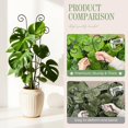 thumbnail image 4 of Trepador para plantas QIAOKAIYAN, 76 cm de alto, metálico, paquete de 4, resistente al óxido, 4 of 7