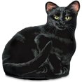 thumbnail image 1 of Fiddlers Elbow Arrêt de Porte de Chat Noir, 1 of 2