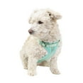 thumbnail image 3 of Vibrant Life, Dog Harnesses, Adjustable Neoprene Dog Walking Harness, Green, Size XS, 3 of 6