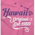 thumbnail image 2 of Hawaii Hibiscus State Shape Filagree Women's Graphic T Shirt Tees Brisco Brands S, 2 of 6