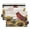 Red Bird Sitting on Sunflower, variant on 2 Pack Flip Folders with Clear PVC Window Binder Pouches 3-Ring Binder Organizer for Office & Home Butterfly Surrounded by Flowers