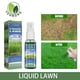 thumbnail image 1 of Fiudx Spray para Césped de Jardín, Solución Nutritiva Concentrada, Repara Zonas Secas, Revitaliza Fácilmente El Césped, Cuidado Del Césped Exterior, Perfecto para Céspedes Moteados, Botella de 30 Ml,, 1 of 7
