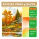 thumbnail image 3 of 36colores Acuarelas Profesionales Conjunto De Acuarelas, 3 of 8
