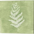 thumbnail image 2 of Great Art Now Forest Ferns by Vanna Lam 3 Piece Canvas Art Set Each 14"W x 14"H, 2 of 4