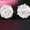 White, variant on Unisex Fashion Elegant Sparkling Round Zircon Inlaid Ear Studs Earrings Jewelry