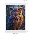 thumbnail image 2 of Diamond Art Kits for Adults - Colorful Owl Art Feathers Forest 5d Diamond Painting for Adults, Diamond Art for Adults Beginners, Frameless Diamond Painting Kits for Adults for Home Wall Decor, 2 of 7