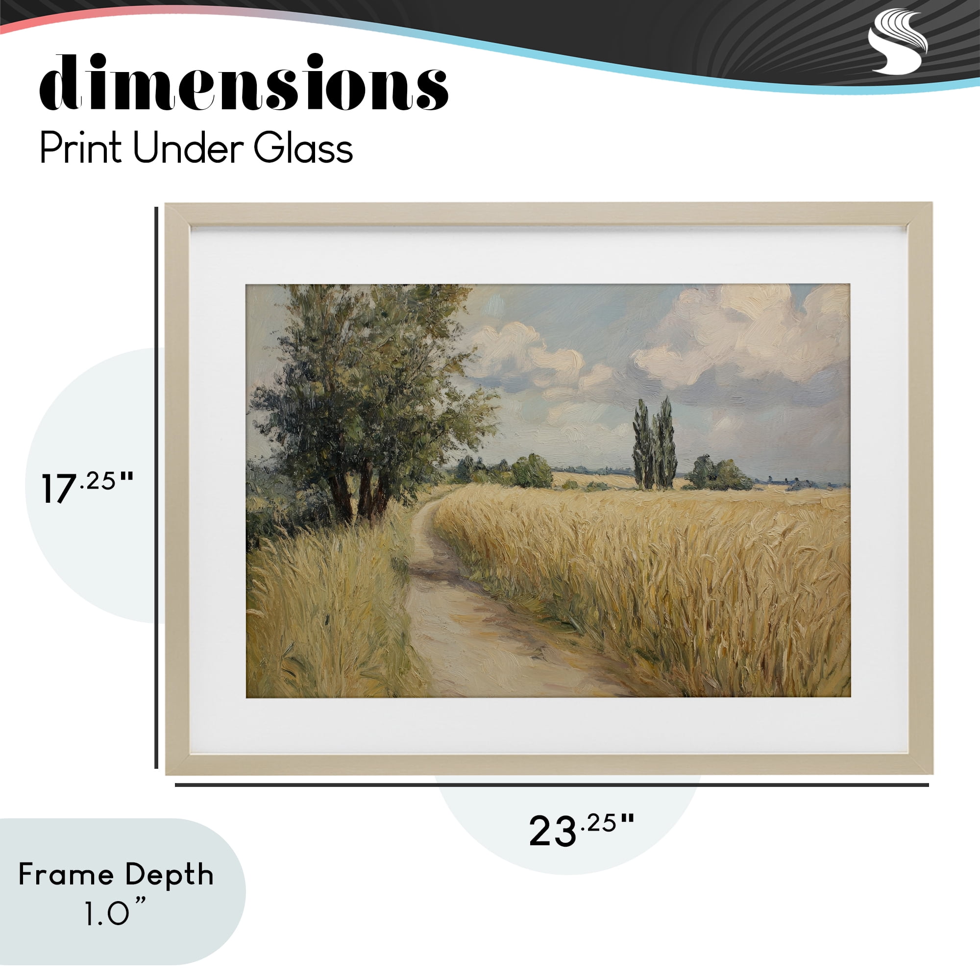 Stupell Industries Quiet Path Through Wheat Birch Framed Print Under Glass, design by Petal Prints Design