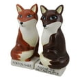 thumbnail image 2 of Ceramic Red Brown Foxes 'For Fox Sake Pass Me The Salt And Pepper!' Shakers Set, 2 of 9