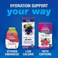 thumbnail image 5 of KR Vitamin Guava Water Enhancer Bottle 1.62 fl oz - Pack of 2 & Lotus Biscoff Cookie - 0.2 Oz - 1 ct, 5 of 5