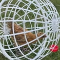 thumbnail image 2 of Billuyoard Paquete de 3 unidades de jaulas Friends para gallinas, para liberarlas y hacerlas más seguras, jaulas gratuitas para animales que Hábitats y jaulas para animales pequeños, 2 of 6