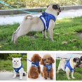 thumbnail image 4 of Dog Harness And Leash Set For Dogs, Soft Mesh Padded Harness For Puppies And Cats, Reflective Adjustable Breathable Chest Harness For Walking, Running _jiue, 4 of 5