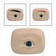thumbnail image 5 of Accesorios de práctica de modelo de silicona Suministros de maquillaje profesional suave reutilizados Color Azul Izquierda Zulema Portátil, 5 of 8