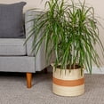 thumbnail image 3 of Household Essentials Round Handwoven Paper Rope Basket with Terracotta Stripe and Handles, Natural, 3 of 8