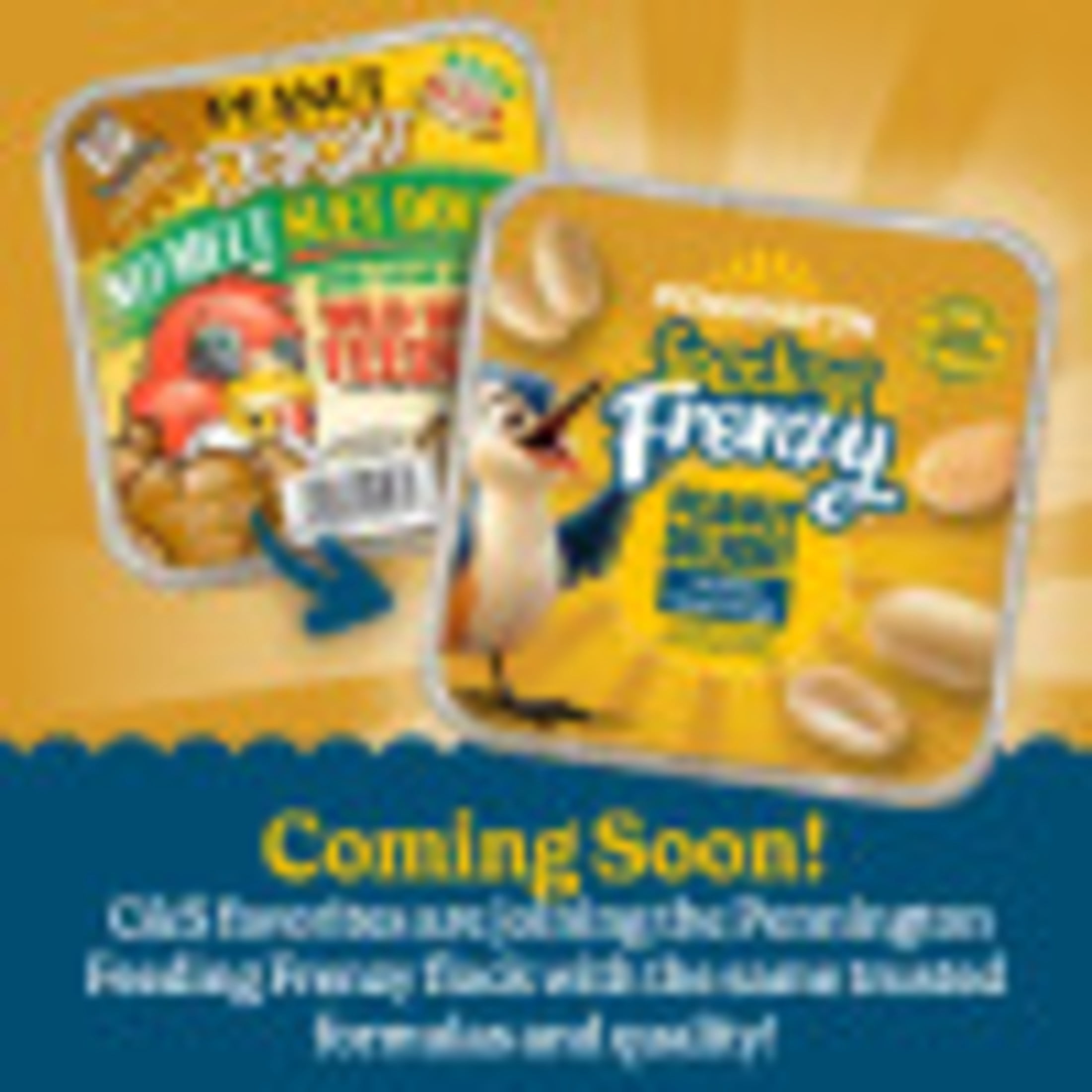 C&S Peanut Delight No-Melt Suet Dough, 11.75 oz Cake, Fresh Wild Bird Food, 1 Pack