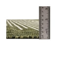 thumbnail image 4 of Unique Loom Outdoor Modern Collection Area Rug - Tambor (4' Round Green/Ivory), 4 of 6
