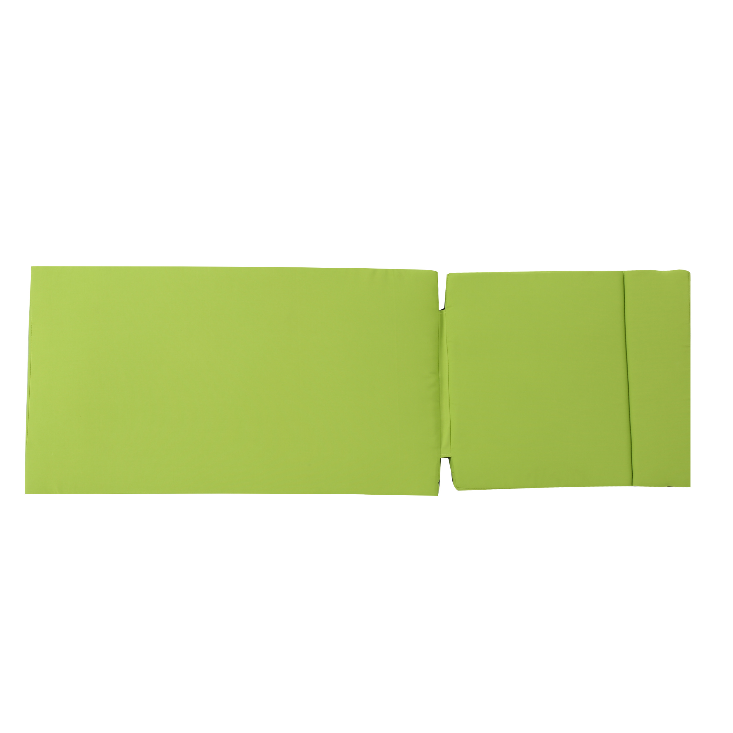 Anthony Outdoor Chaise Lounge Cushion, Green