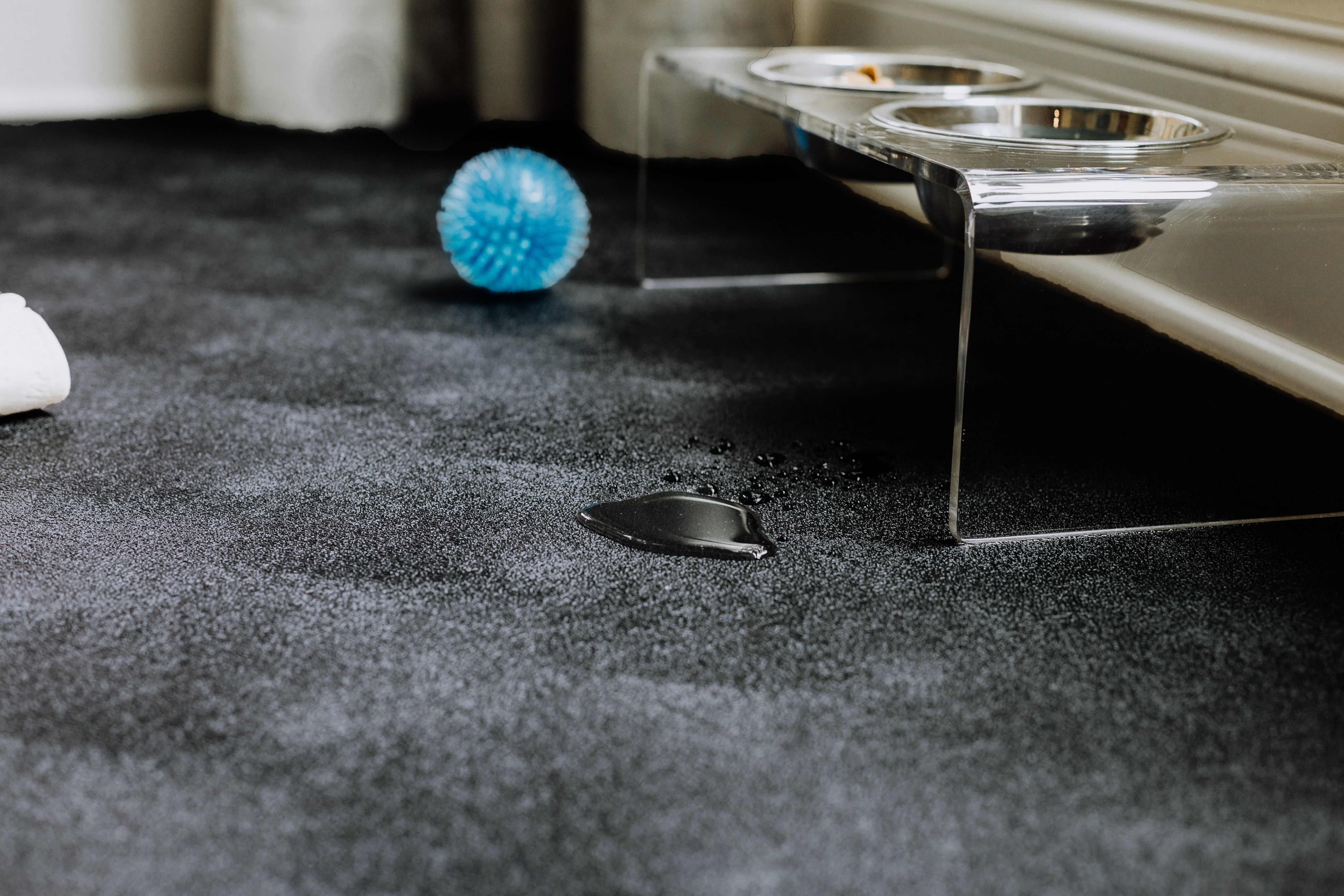 G-Floor 8.5' x 22' Vinyl Levant Pet Friendly Carpet Protector for Dogs & Cats - Midnight Black
