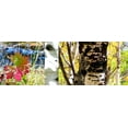 thumbnail image 2 of Tenoever, William 14x7 White Modern Wood Framed Museum Art Print Titled - Fall Colors Collage 1, 2 of 4