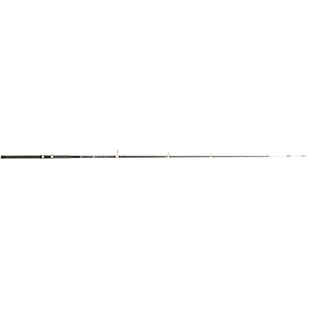 B n M Poles Silver Cat Catfish Series Fishing Rod 8 Ft. 2 Pieces Spinning