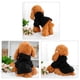 thumbnail image 2 of Sudadera para Perros con Capucha Ropa de Primavera/Otoño/Invierno Abrigo Cálido Negro XXL, 2 of 7