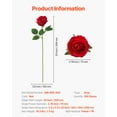 thumbnail image 5 of VEVOR Artificial Flowers, 500 pcs Real Looking Red Foam Fake Roses Bulk, Faux Red Bridal Shower with Stems for DIY Wedding Bouquets, Home Centerpieces Arrangements, Party Tables Decorations, 5 of 9