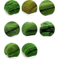 thumbnail image 4 of Namzi Simulation Artificial Moss Grass Turf Mat No Maintenance Wall Green Plants Home Lawn Fake Moss Design Garden Landscape Decor (Color : 02, Size : 100x100cm), 4 of 5