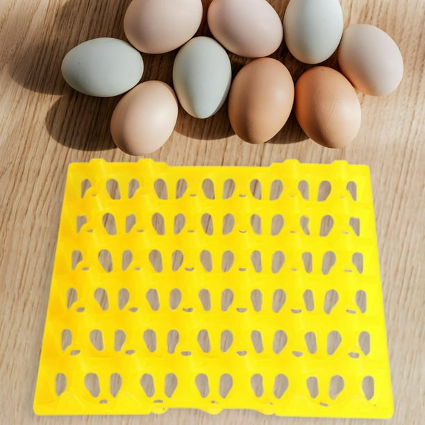 30 Cell Egg Storage Tray Breathable Egg Flats Stackable Shockproof